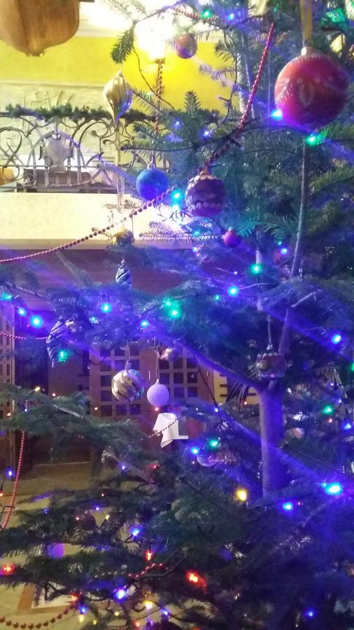 Letuchiy Gollandets Hotel Ужгород Екстериор снимка